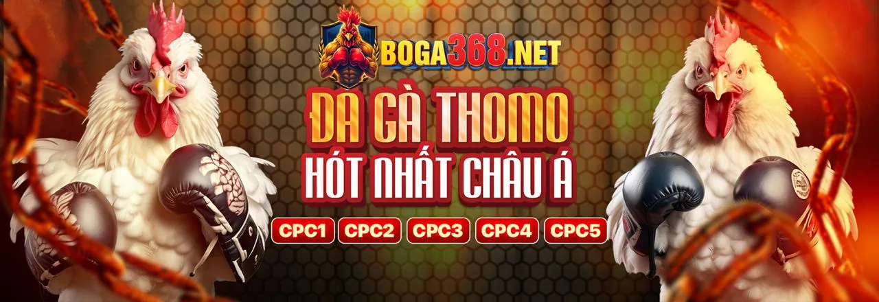 Đá Gà Trực Tuyến Hấp Dẫn tại 13win12 link mới